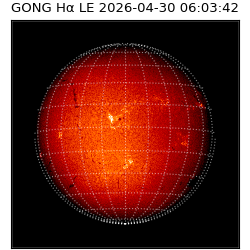 gong - 2026-04-30T06:03:42