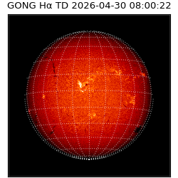 gong - 2026-04-30T08:00:22