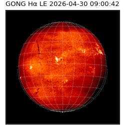 gong - 2026-04-30T09:00:42