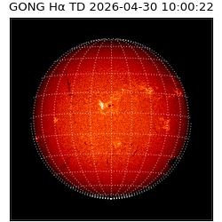 gong - 2026-04-30T10:00:22