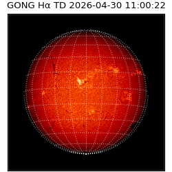 gong - 2026-04-30T11:00:22
