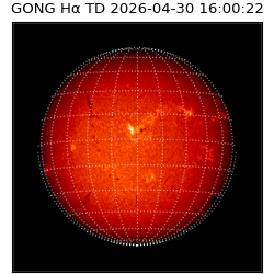 gong - 2026-04-30T16:00:22