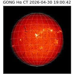 gong - 2026-04-30T19:00:42