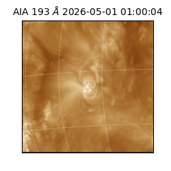 saia - 2026-05-01T01:00:04.842000