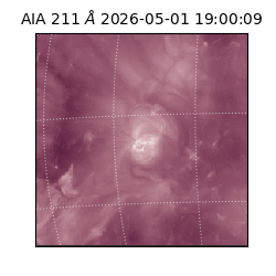 saia - 2026-05-01T19:00:09.623000