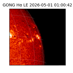 gong - 2026-05-01T01:00:42