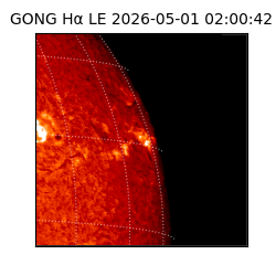 gong - 2026-05-01T02:00:42