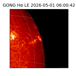 gong - 2026-05-01T06:00:42