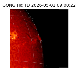 gong - 2026-05-01T09:00:22