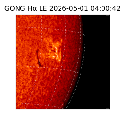 gong - 2026-05-01T04:00:42
