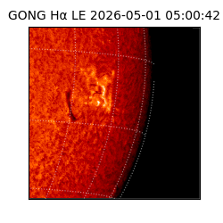 gong - 2026-05-01T05:00:42