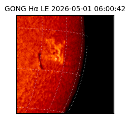 gong - 2026-05-01T06:00:42