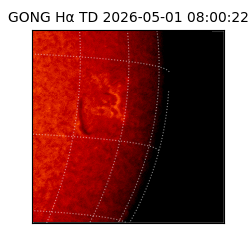 gong - 2026-05-01T08:00:22