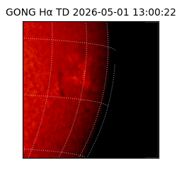 gong - 2026-05-01T13:00:22