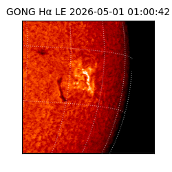 gong - 2026-05-01T01:00:42