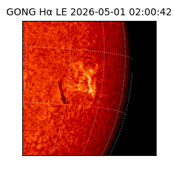 gong - 2026-05-01T02:00:42
