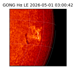 gong - 2026-05-01T03:00:42