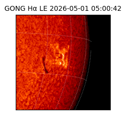 gong - 2026-05-01T05:00:42