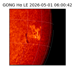 gong - 2026-05-01T06:00:42