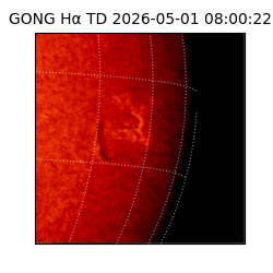 gong - 2026-05-01T08:00:22