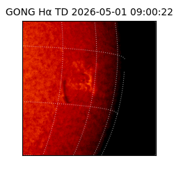 gong - 2026-05-01T09:00:22