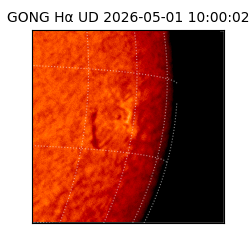 gong - 2026-05-01T10:00:02