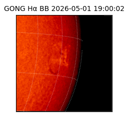gong - 2026-05-01T19:00:02