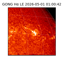 gong - 2026-05-01T01:00:42