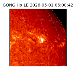 gong - 2026-05-01T06:00:42