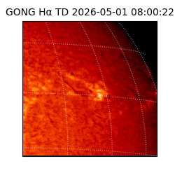 gong - 2026-05-01T08:00:22