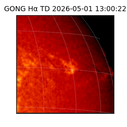 gong - 2026-05-01T13:00:22