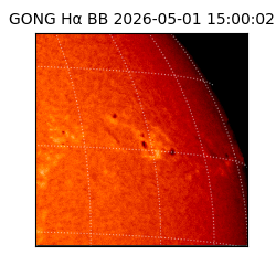 gong - 2026-05-01T15:00:02