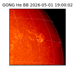 gong - 2026-05-01T19:00:02