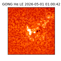 gong - 2026-05-01T01:00:42