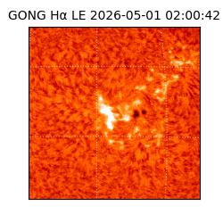 gong - 2026-05-01T02:00:42