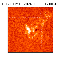 gong - 2026-05-01T06:00:42
