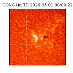 gong - 2026-05-01T08:00:22
