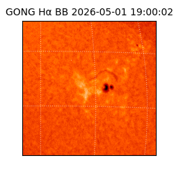 gong - 2026-05-01T19:00:02