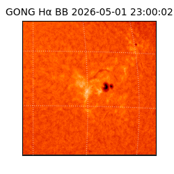gong - 2026-05-01T23:00:02