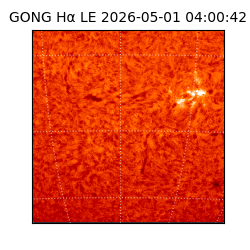 gong - 2026-05-01T04:00:42