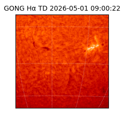 gong - 2026-05-01T09:00:22
