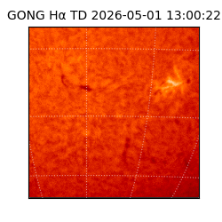 gong - 2026-05-01T13:00:22