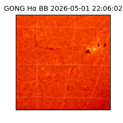 gong - 2026-05-01T22:06:02