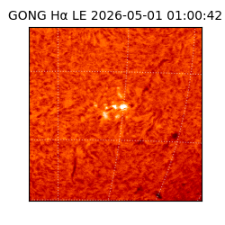 gong - 2026-05-01T01:00:42