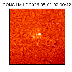gong - 2026-05-01T02:00:42