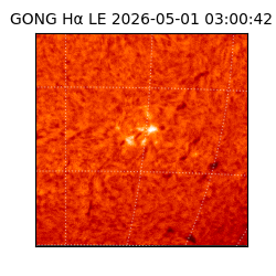 gong - 2026-05-01T03:00:42