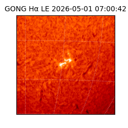 gong - 2026-05-01T07:00:42