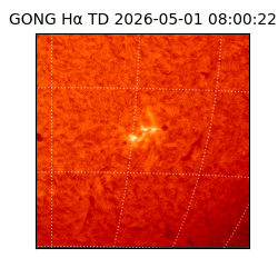 gong - 2026-05-01T08:00:22