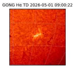 gong - 2026-05-01T09:00:22