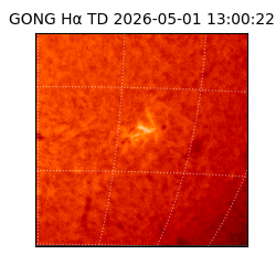 gong - 2026-05-01T13:00:22